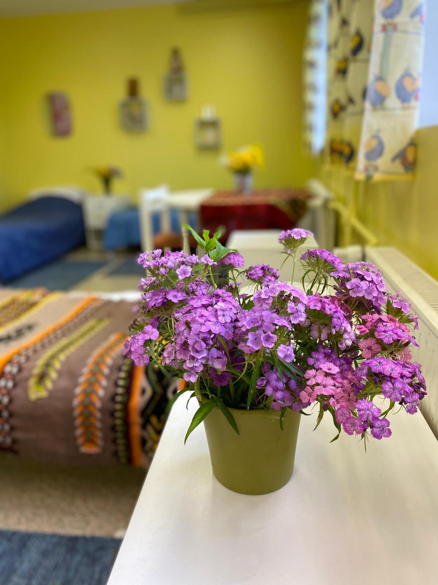 Iide Torgu Royal Guesthouse מראה חיצוני תמונה