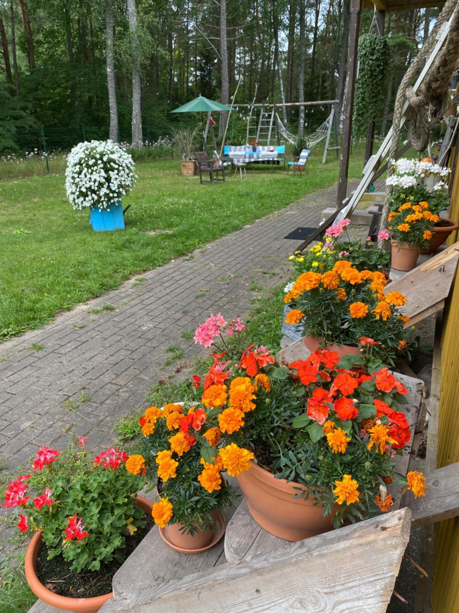 Iide Torgu Royal Guesthouse מראה חיצוני תמונה